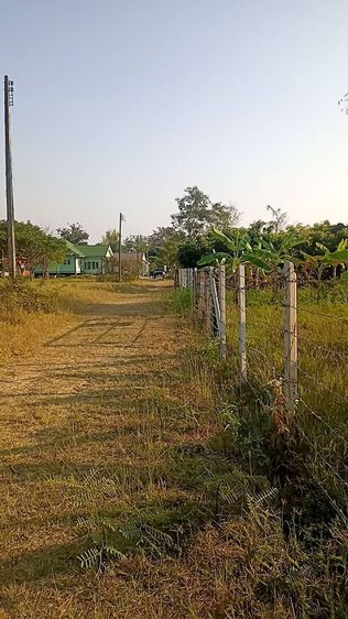 ใช่ ที่ดิน อ หางดง เชียงใหม่ รูปที่ 4