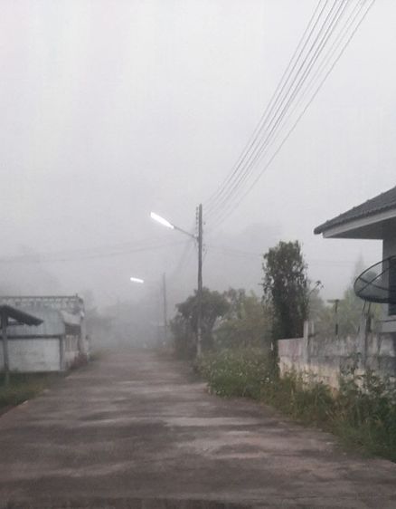 ใช่ ที่ดิน อ หางดง เชียงใหม่