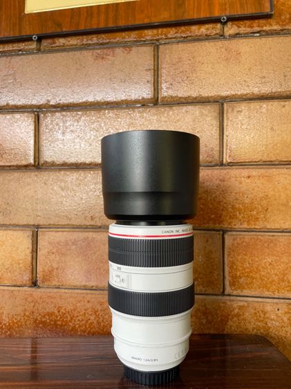 เลนส์กล้อง Canon EF 70-300mm f4-.5.6 usm รูปที่ 5