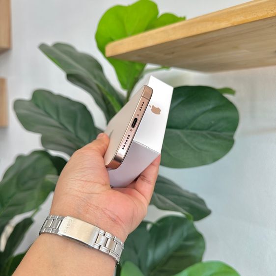 iPhone 16 Pro Max 256GB รูปที่ 8