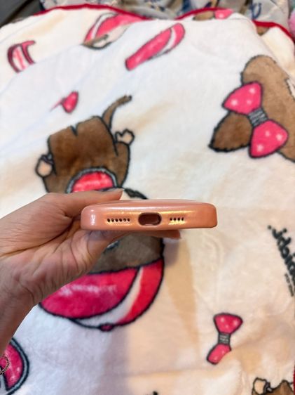 เคส16 PM Urban sophistication  รูปที่ 13