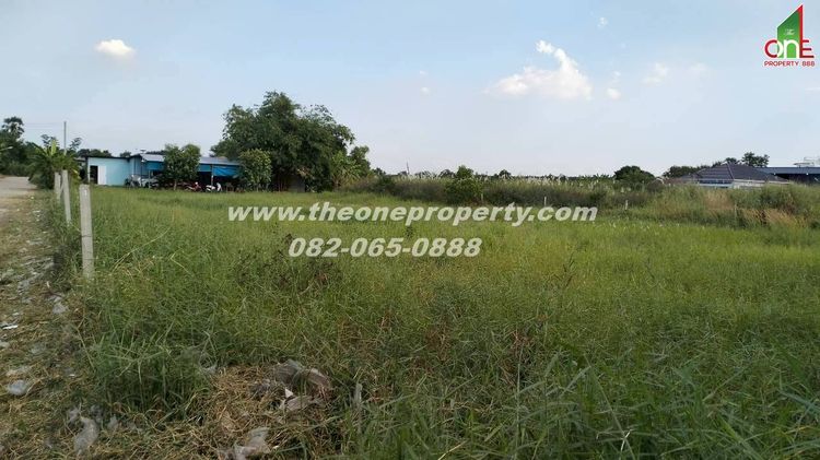 ที่ดิน 600 ตรว ซสุสวาส 22 เส้นหลัง โรงเรียน แย้มสะอาด ต.ลาดสวาย อ.ลำลูกกา จ.ปทุมธานี รูปที่ 3