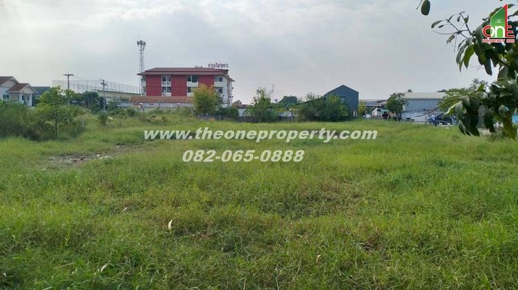 ที่ดิน 600 ตรว ซสุสวาส 22 เส้นหลัง โรงเรียน แย้มสะอาด ต.ลาดสวาย อ.ลำลูกกา จ.ปทุมธานี รูปที่ 4