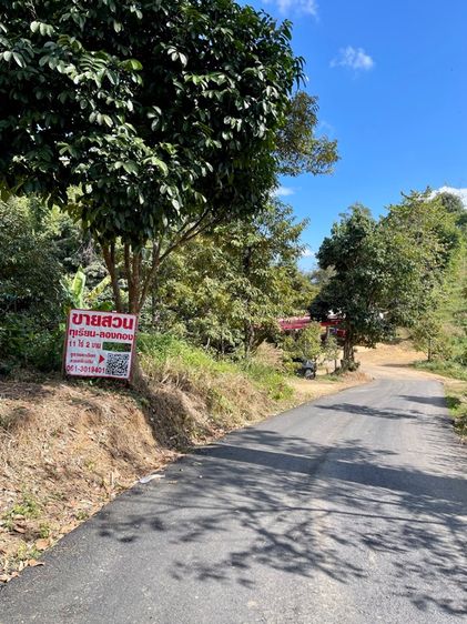 ใช่ ขายสวนทุเรียนหมอนทอง หลงลับแล หลินลับแล และลองกอง เนื้อที่ 11 ไร่ 2งาน (ราคาคุยกันได้เจ้าของขายเองครับ) รูปที่ 2