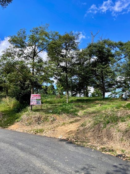 ขายสวนทุเรียนหมอนทอง หลงลับแล หลินลับแล และลองกอง เนื้อที่ 11 ไร่ 2งาน (ราคาคุยกันได้เจ้าของขายเองครับ)