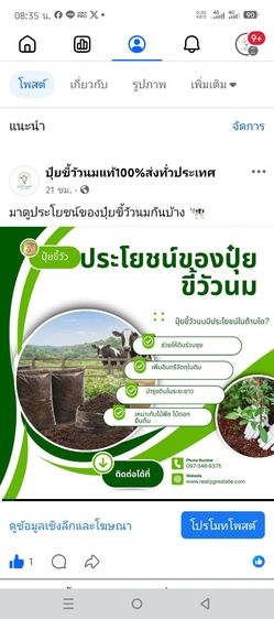 ปุ๋ยขี้วัวนมแท้ รูปที่ 3