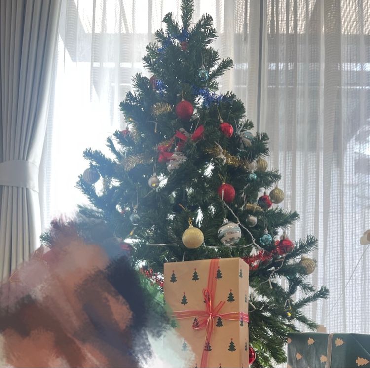 pattaya ไม่Pattayaขายต้นคริสต์มาสที่ไม่ได้ใช้งานและเครื่องประดับ