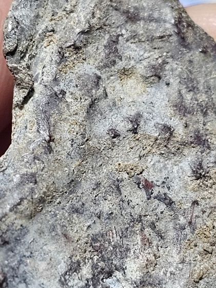 พระท่ากระดานสนิมแดง รูปที่ 3