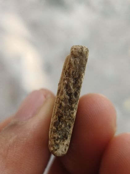 สมเด็จวัดระฆังพิมพ์ใหญ่ รูปที่ 5