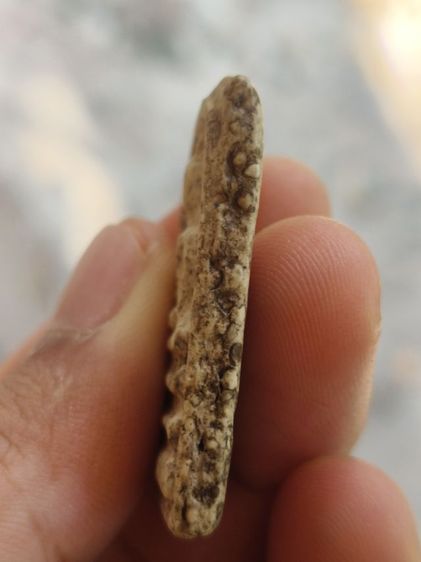 สมเด็จวัดระฆังพิมพ์ใหญ่ รูปที่ 3