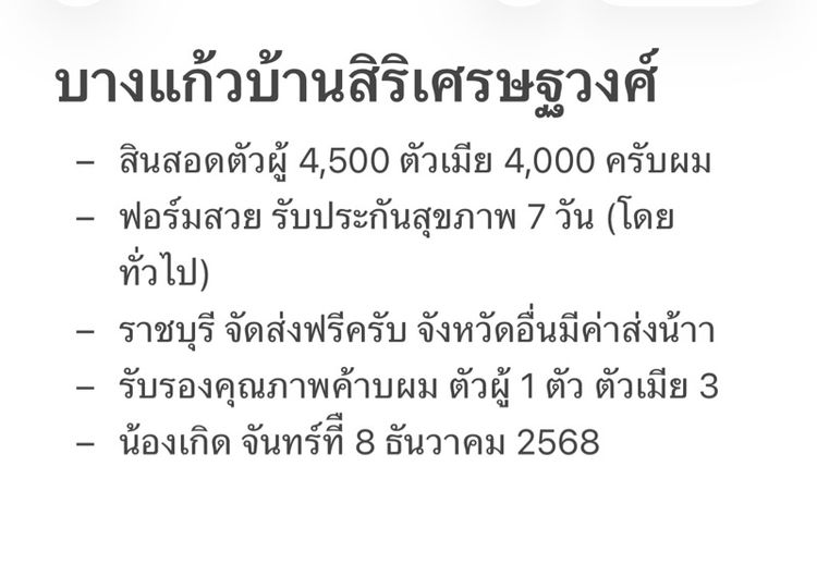 บางแก้วแท้ฟอร์มสวย รูปที่ 9