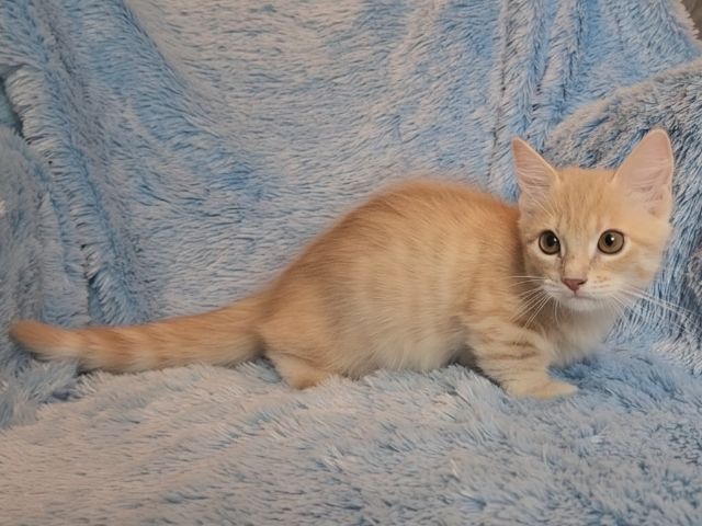 เด็กๆขาสั้น9000 รูปที่ 6