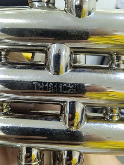 trumpet ทรัมเป็ต รูปที่ 6