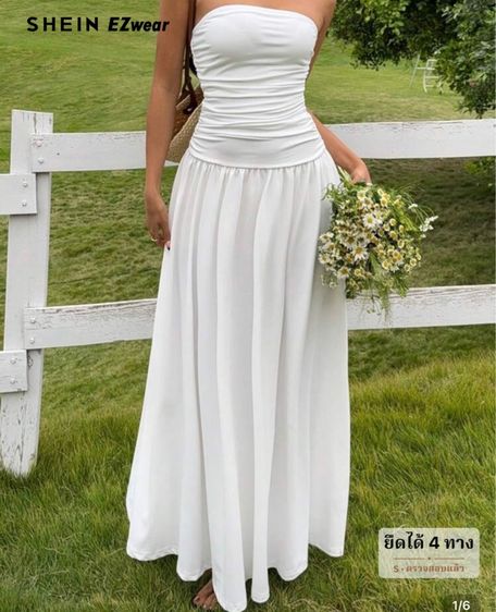 เดรสสตรี รูปที่ 3