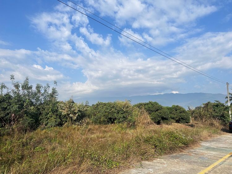 ใช่ ที่ดินสวนลำไย รูปที่ 2