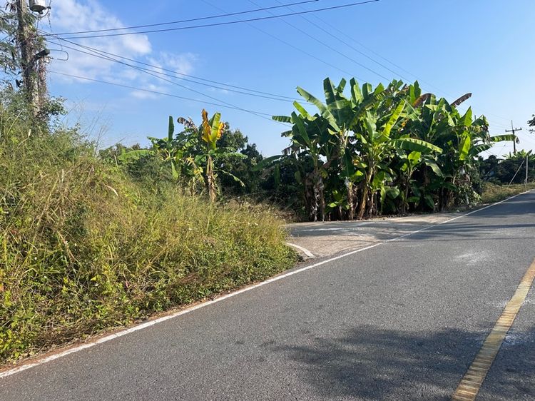 ใช่ ที่ดินสวนลำไย รูปที่ 4