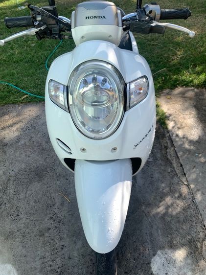 ขายรถสกุ๊ปปี้ รูปที่ 6