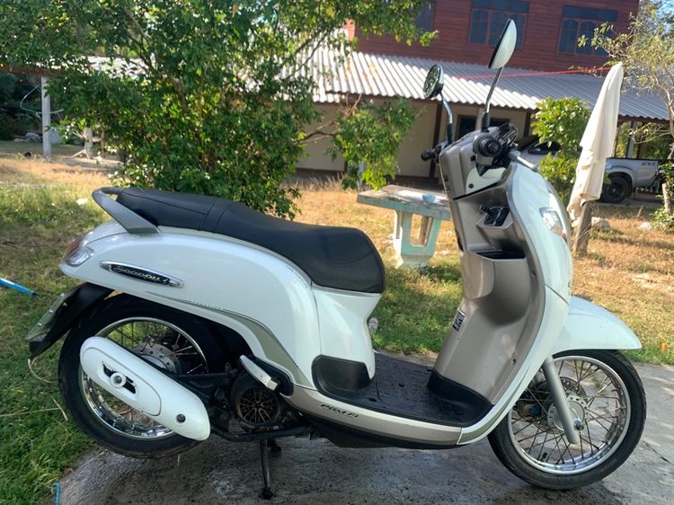 Honda Scoopy 2017 ขายรถสกุ๊ปปี้