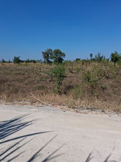 ที่ดิน รูปที่ 2