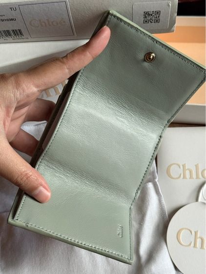  กระเป๋าสตางค์ Chloé Sense Compact Wallet in Faded Green 🌿 รูปที่ 5