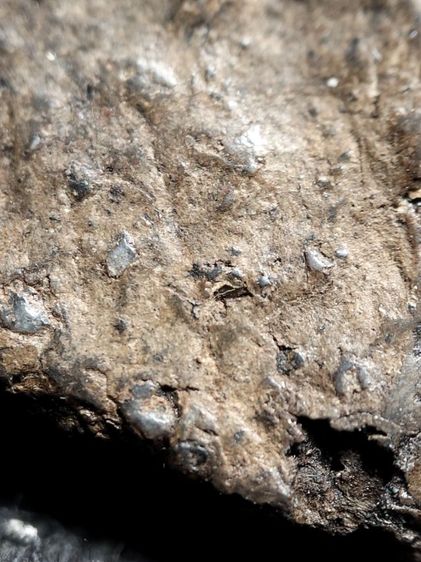 ❌ปิดครับ❌พระนางพญาเนื้อดินสภาพหิ้งครับ รูปที่ 9