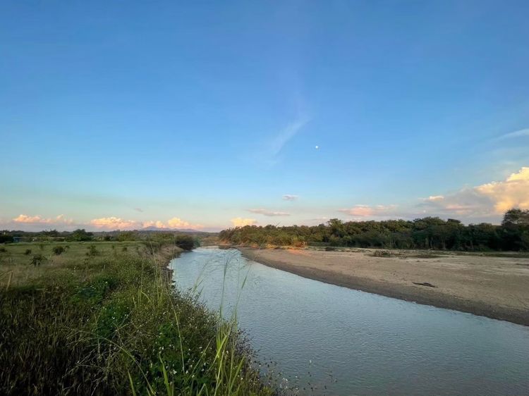 ขายที่ดินถมแล้ว 20 ไร่ 3 งาน 32.4 ตรว เป็นสวนเกษตร (ไม่เสียภาษีที่ดิน) ติดแม่น้ำแตง อ.แม่แตง จ.เชียงใหม่ รูปที่ 2