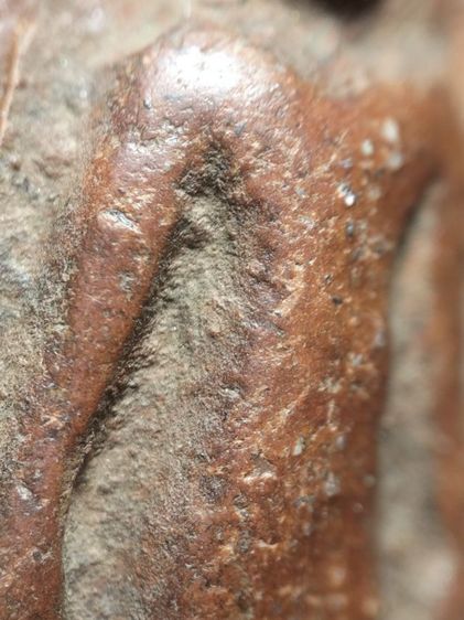 พระกำแพงยืนตอเนื้อดินครับ รูปที่ 12