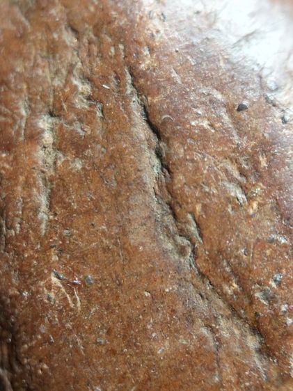 พระกำแพงยืนตอเนื้อดินครับ รูปที่ 13