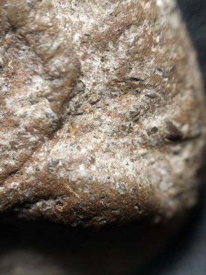 พระพิมพ์กลีบบัวเนื้อดินครับ รูปที่ 7