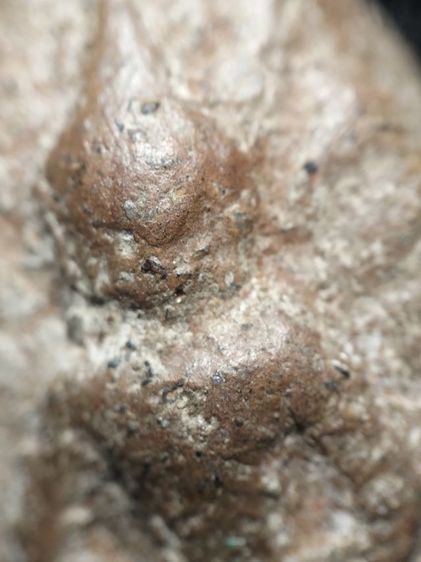 พระพิมพ์กลีบบัวเนื้อดินครับ รูปที่ 6