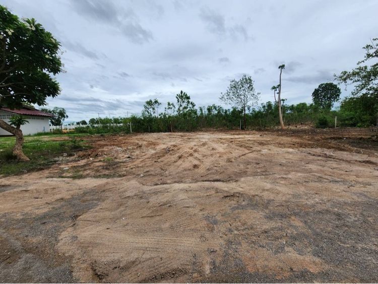 ขายด่วนที่ดินเปล่า รูปที่ 2