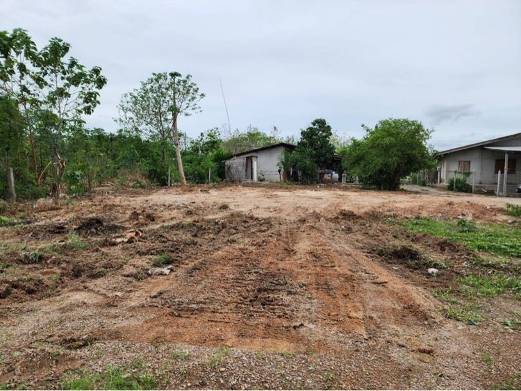ขายด่วนที่ดินเปล่า รูปที่ 3