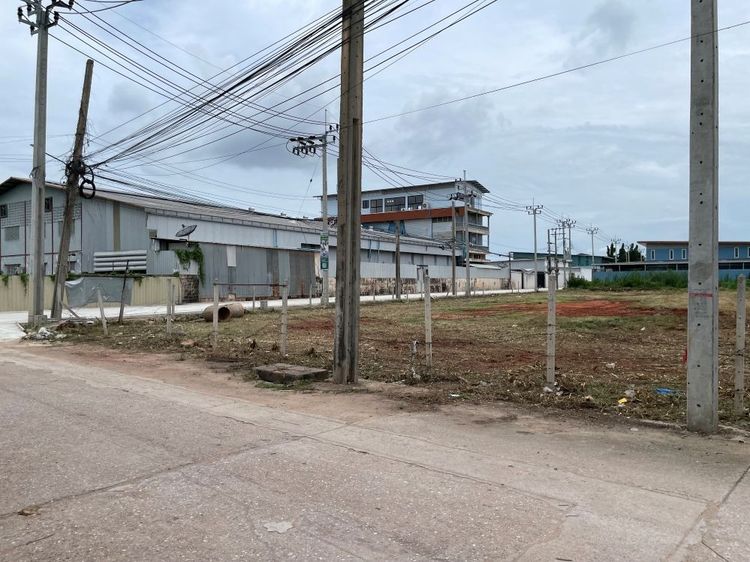 ขายที่ดินถมแล้ว แปลงสวย ขนาด 608 ตรว. ติดถนน 2 ด้าน บางกะดี่ 19 แยก 8 และ เทียนทะเล 20 แยก 14 ใกล้ถนนวงแหวนกาญจนาภิเษก รูปที่ 3