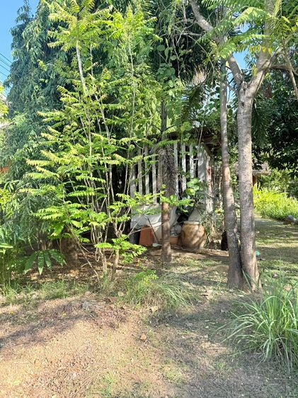 ไห้เช่าที่ดิน 314 ตรว บริเวณสถานีขนส่งแพร่ หลังตึกนครชัยแอร์ รูปที่ 3