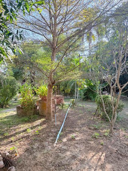 ไห้เช่าที่ดิน 314 ตรว บริเวณสถานีขนส่งแพร่ หลังตึกนครชัยแอร์ รูปที่ 4