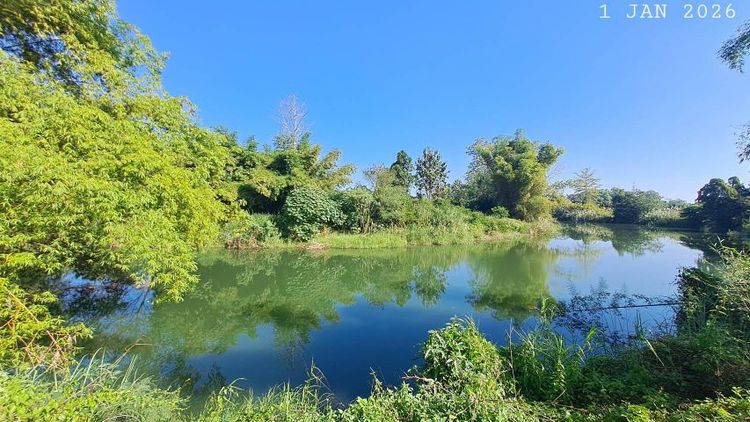 ติดแม่น้ำลี้ติดถนนคอนกรีต เจ้าของขายเอง วิวสวยใกล้ทางขึ้นดอยอินทนนท์เหมาะทำคาเฟ่ที่พักริมแม่น้ำ