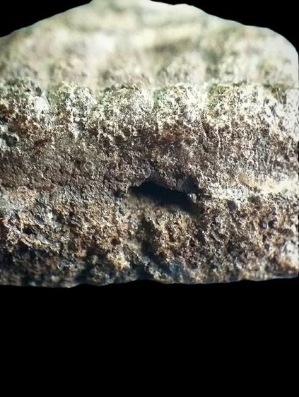 หลวงปู่ทวด 2497. รูปที่ 10