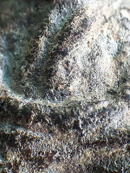 หลวงปู่ทวด 2497. รูปที่ 8