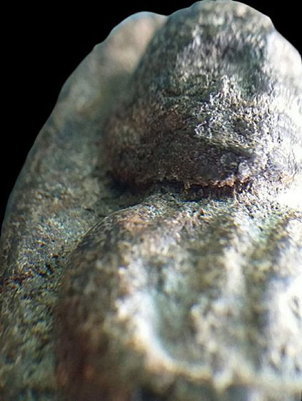 หลวงปู่ทวด 2497. รูปที่ 11