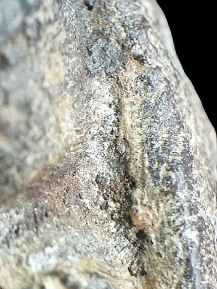 หลวงปู่ทวด 2497. รูปที่ 16