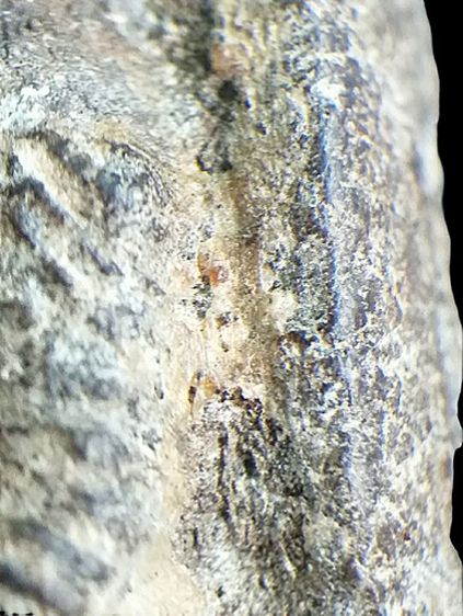 หลวงปู่ทวด 2497. รูปที่ 18