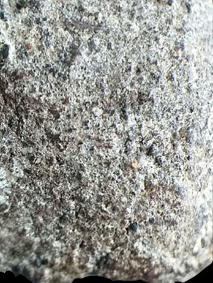 หลวงปู่ทวด 2497. รูปที่ 15