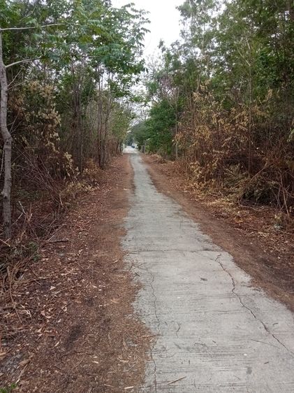 ที่ดินเปล่าราคาถูก ใกล้ชุมชน พระพุทธบาทสระบุรี (เหมาะกับลงทุน)