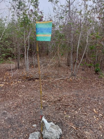 ที่ดินเปล่าราคาถูก ใกล้ชุมชน พระพุทธบาทสระบุรี (เหมาะกับลงทุน) รูปที่ 4