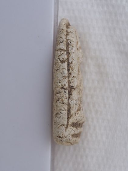 พระเครื่อง 28106804 รูปที่ 3