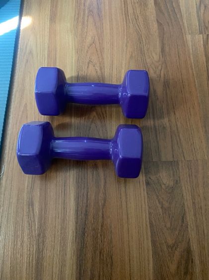 ดัมเบล รูปที่ 2