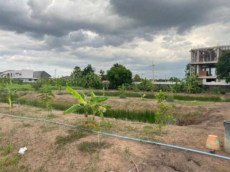 ขายที่ดินเปล่า 745 ตร.ว. ซ.เทิดราชัน 47 ดอนเมือง ทำเลทอง ติดถนนเทิดราชัน