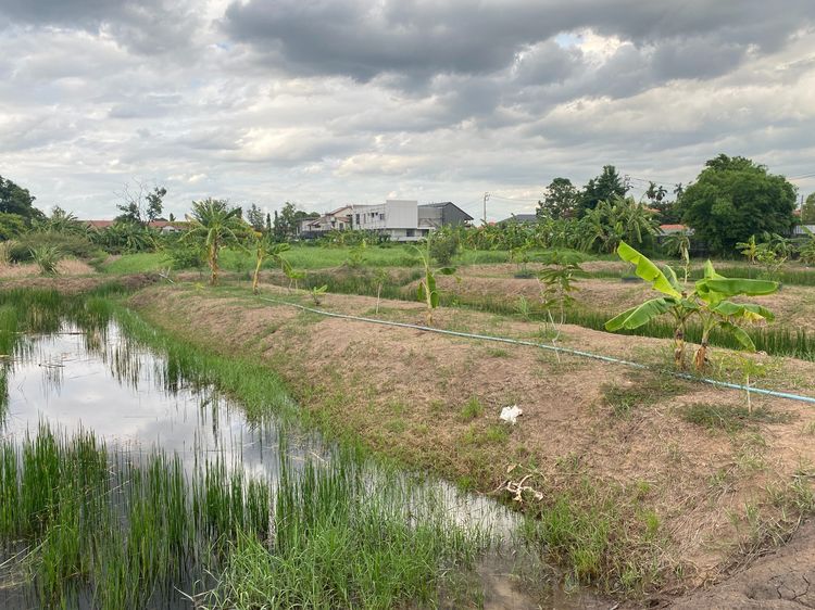 ขายที่ดินเปล่า 745 ตร.ว. ซ.เทิดราชัน 47 ดอนเมือง ทำเลทอง ติดถนนเทิดราชัน รูปที่ 2