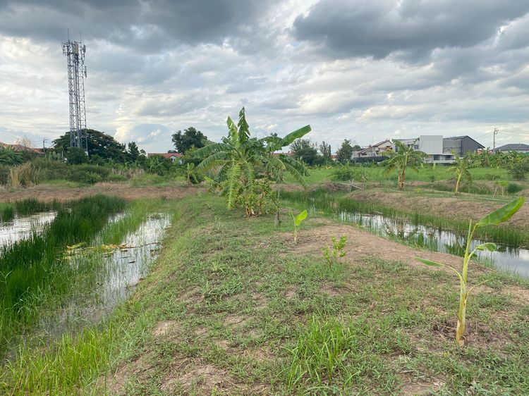 ขายที่ดินเปล่า 745 ตร.ว. ซ.เทิดราชัน 47 ดอนเมือง ทำเลทอง ติดถนนเทิดราชัน รูปที่ 3