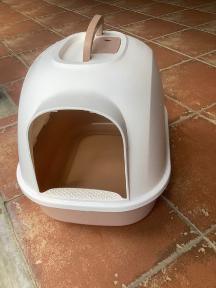 ห้องน้ำน้องแมว รูปที่ 5